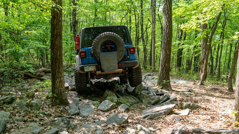 Fern Ridge - Anthracite Outdoor Adventure Area - Waypoint 14: Rocky