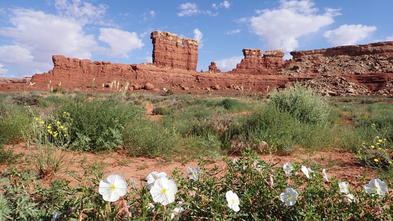 Flint Trail Trail Review Photo