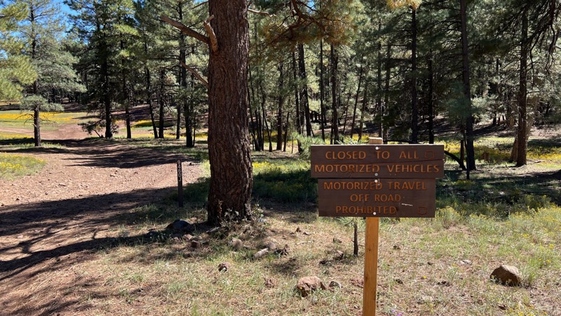 Schnebly Hill Road - Waypoint 3: FR 9460J