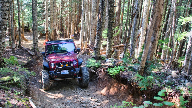 Washington: Evans Creek / Trail #310 Hero Photo