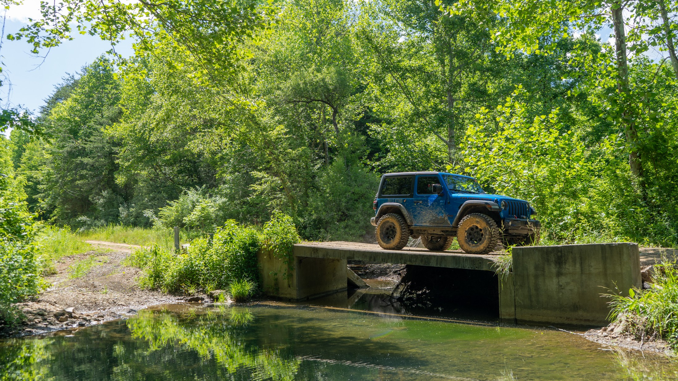 Wild Dog Creek, Kentucky Offroad Trail Guide & Map