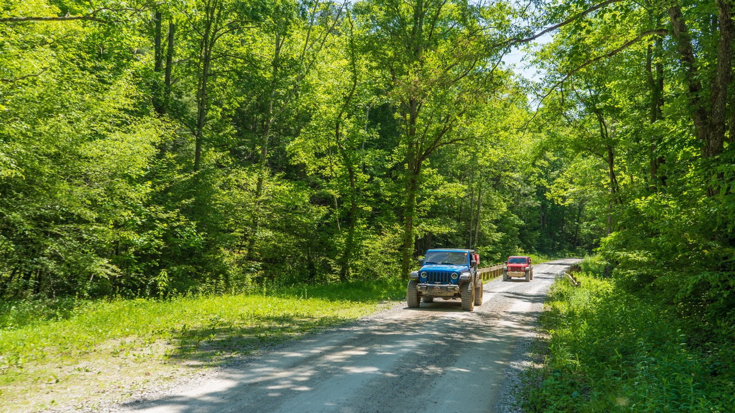 Turkey Foot - Best Trails