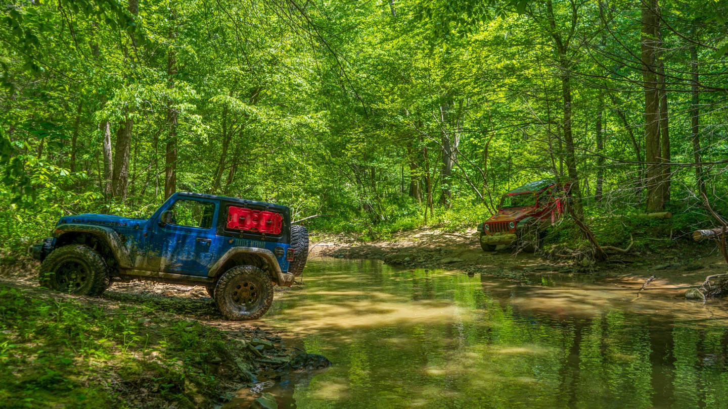 Herdes Springs - Best Trails