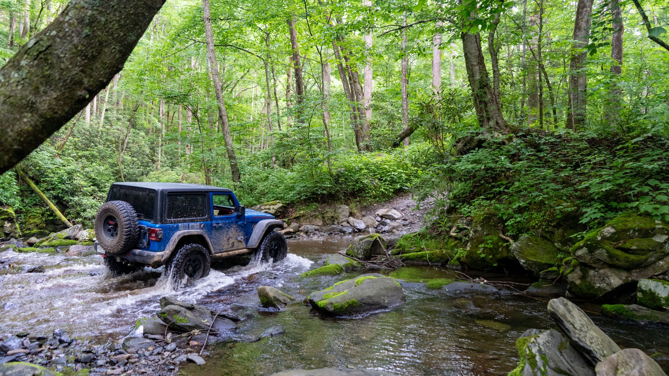 Old Buzzard Roost aka Goat Trail, North Carolina Offroad Trail Guide