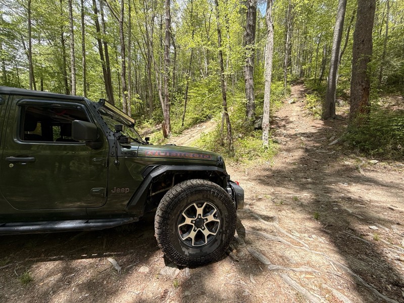 Hurricane Creek Trail Review Photo