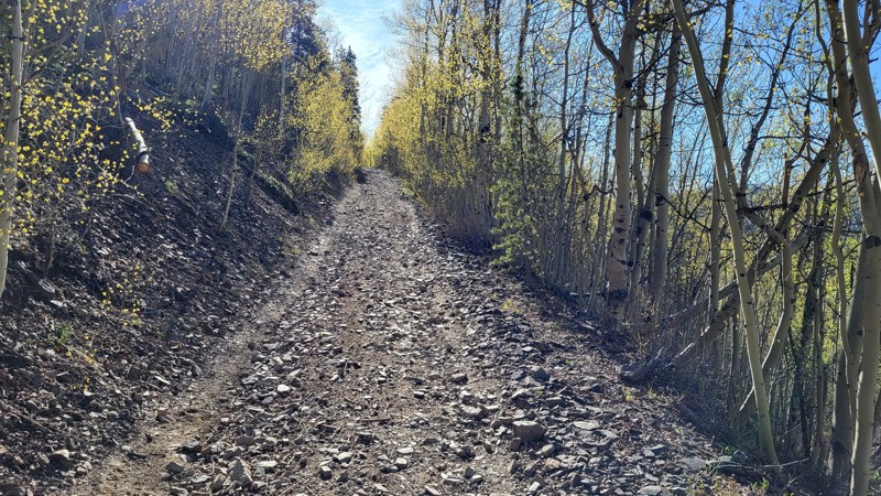 Colorado: Humbug Hill/French Gulch Connector Hero Photo