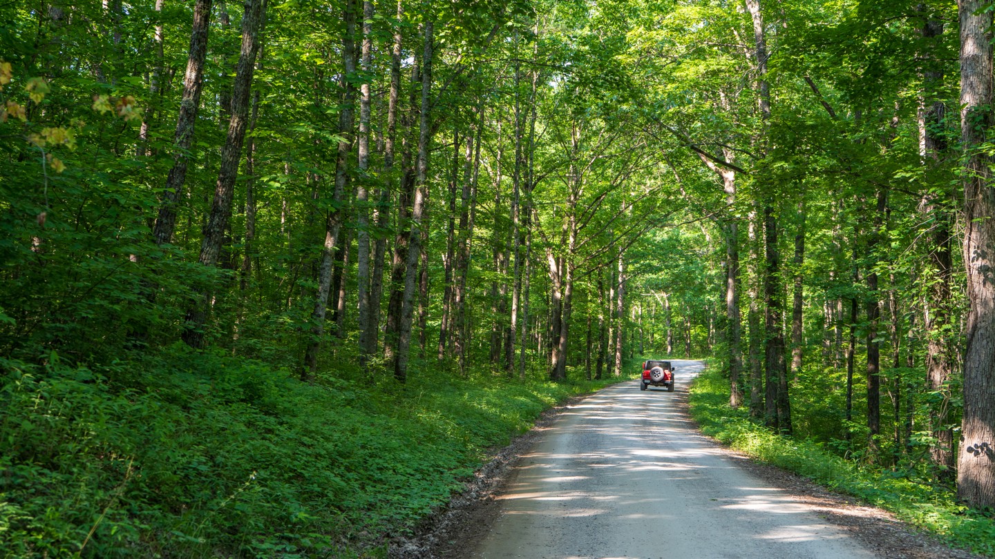 S-Tree Road - Best Trails