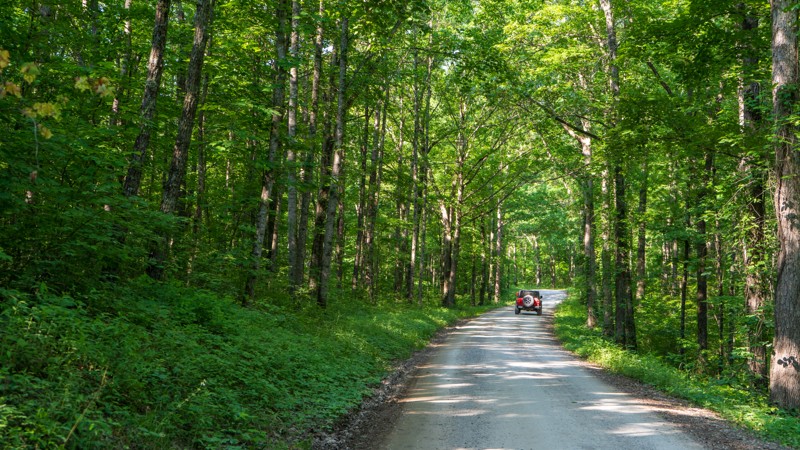 Kentucky: S-Tree Road Hero Photo