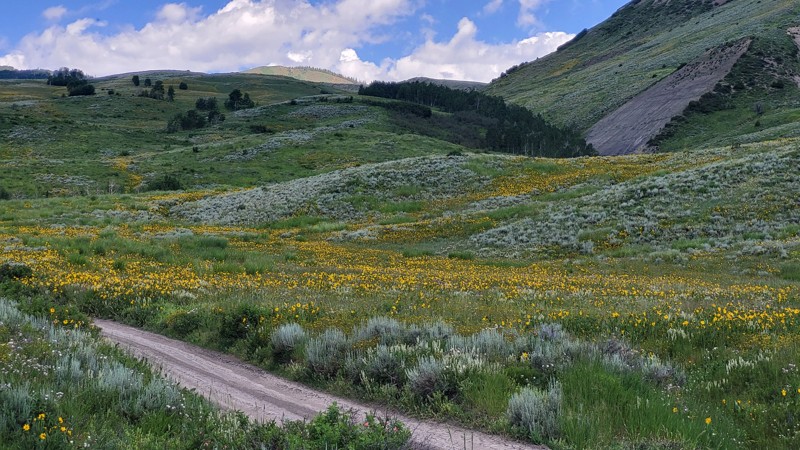 Colorado: Horse Mountain Road Hero Photo