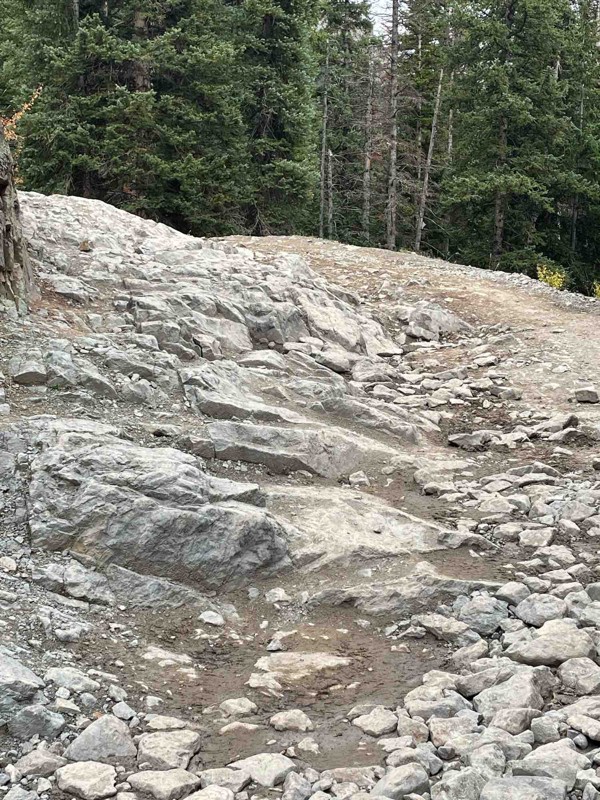 Mineral Creek Trail Review Photo
