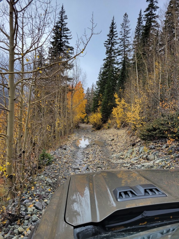 Mineral Creek Trail Review Photo