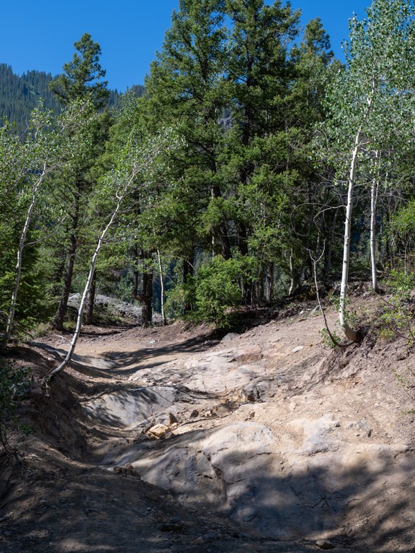 Mineral Creek Trail Review Photo