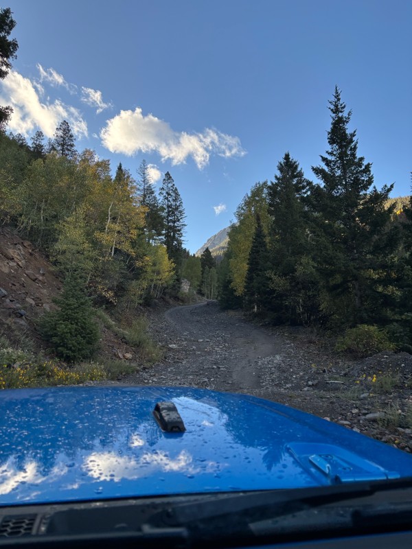 Mineral Creek Trail Review Photo