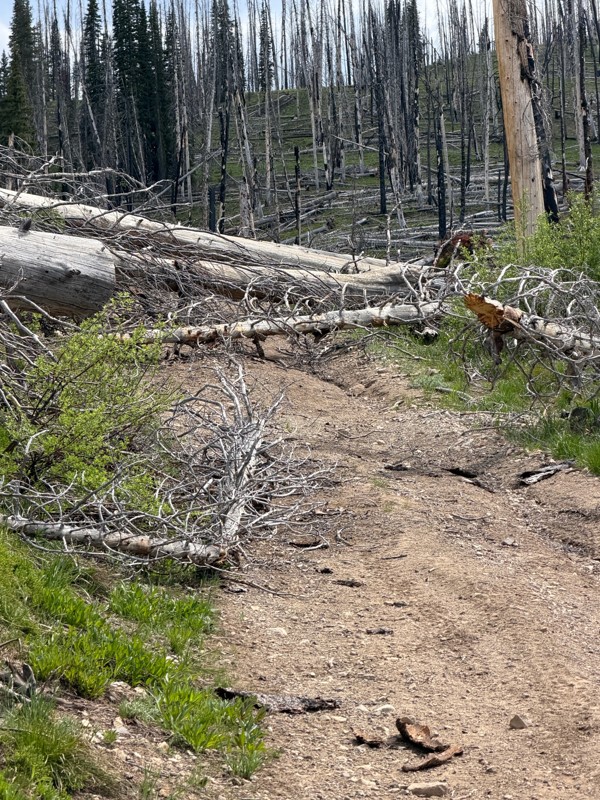 Pinyon Peak Loop Trail Review Photo