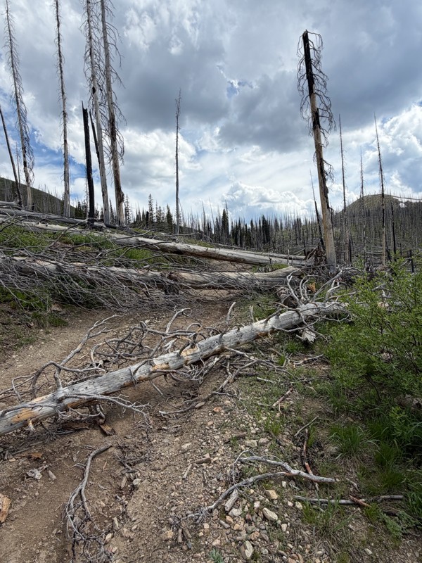 Pinyon Peak Loop Trail Review Photo