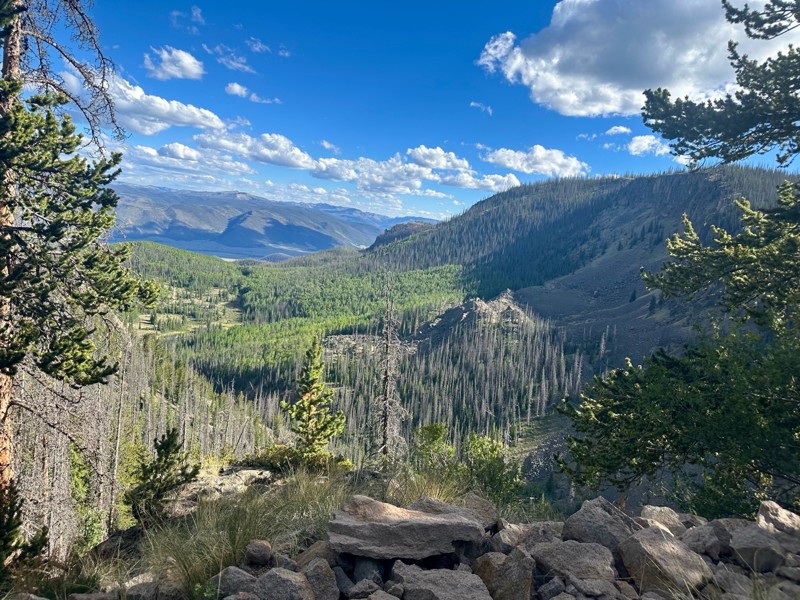Rat Creek Road Trail Review Photo