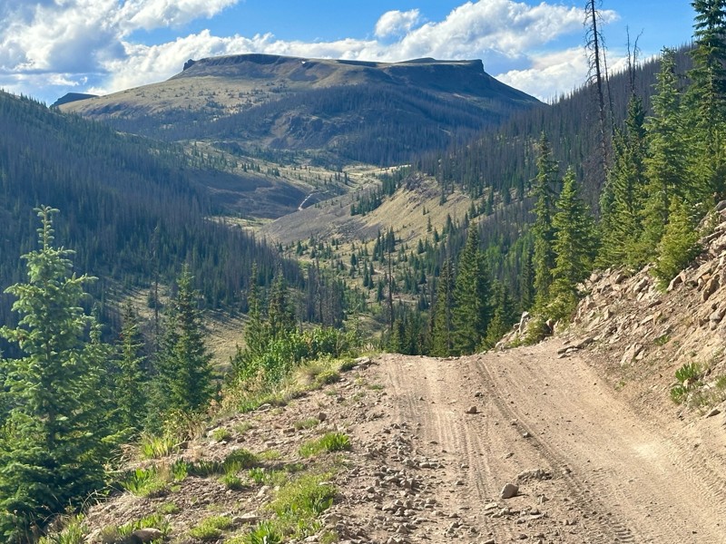 Rat Creek Road Trail Review Photo