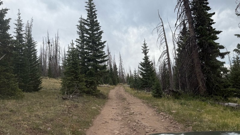 Bristol Head Trail Review Photo