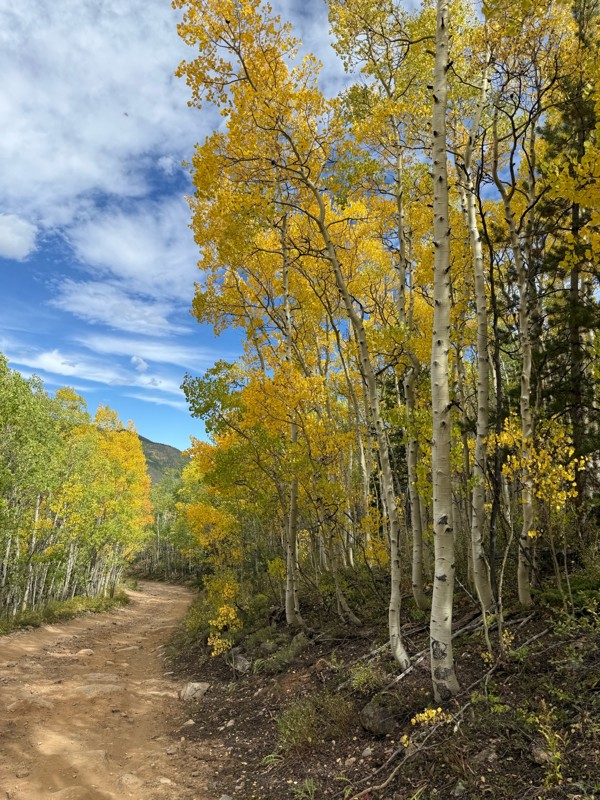 Express Creek Trail Review Photo