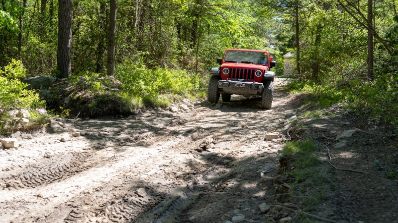 Sharpback Hollow Trail Review Photo