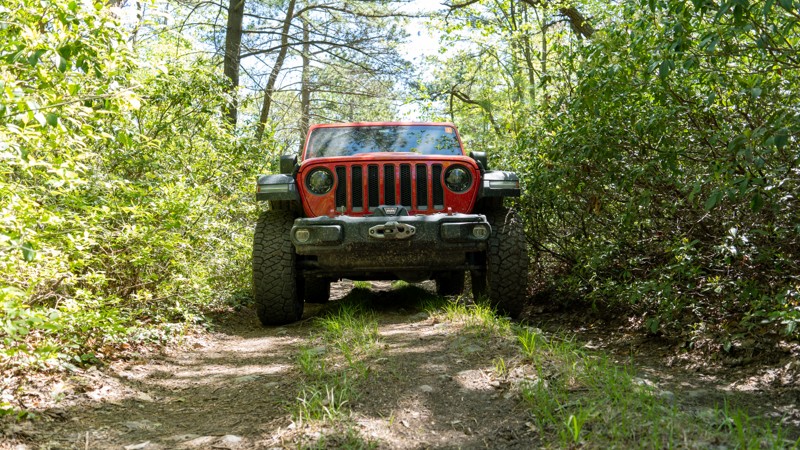 Sharpback Hollow Trail Review Photo