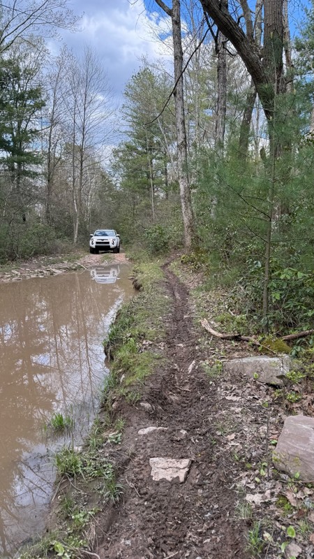 Sharpback Hollow Trail Review Photo