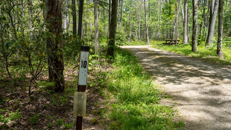 Duncan Trail Trail Review Photo
