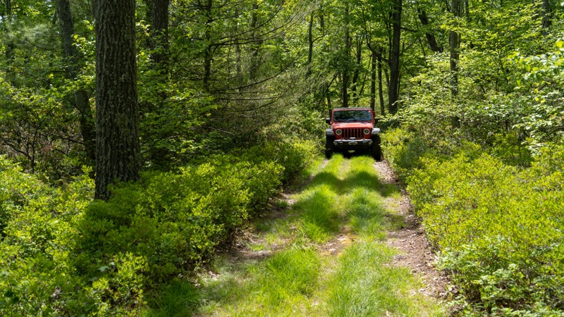 Duncan Trail Trail Review Photo