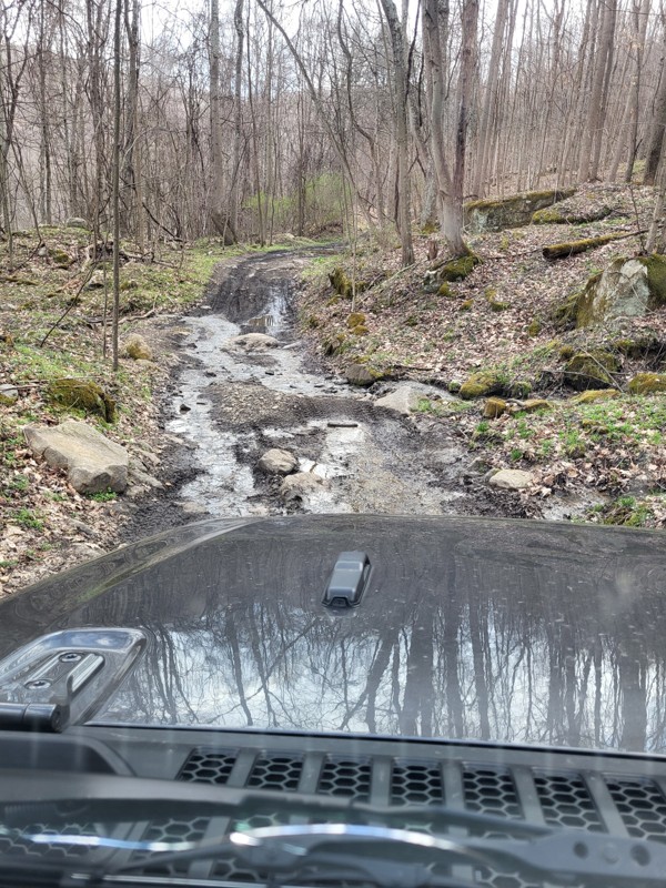 Wolf Den Run State Park - 2103 Potomac River Area Trail Review Photo