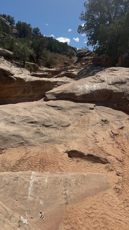 Owl Draw Spur Trail Review Photo