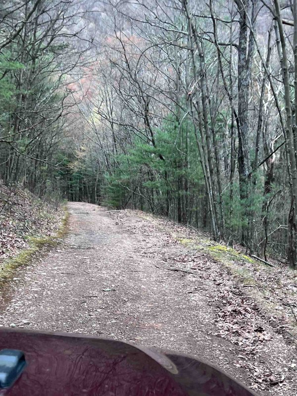 Old Mans Run Forest Road Trail Review Photo