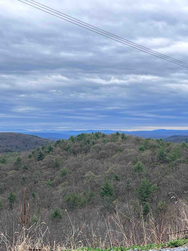 Old Mans Run Forest Road Trail Review Photo