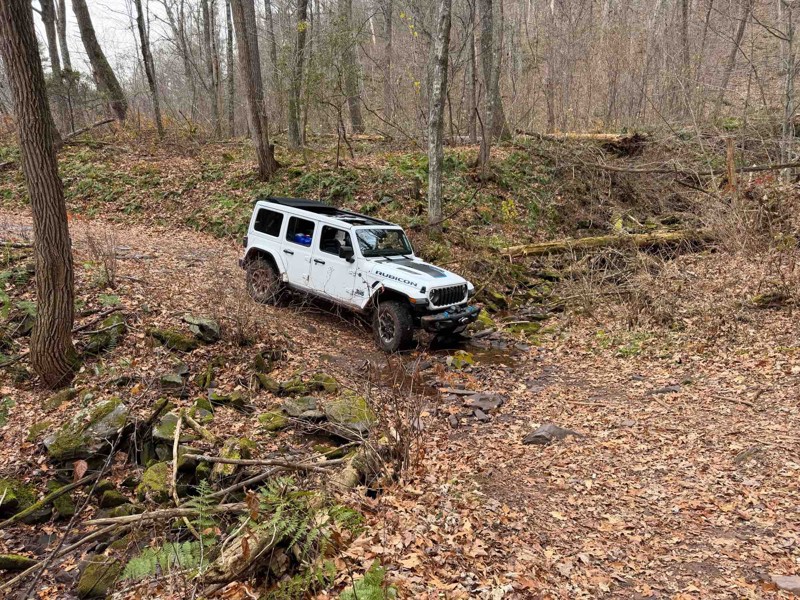 German River Road Trail Review Photo