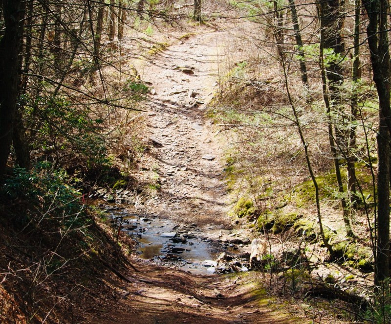 German River Road Trail Review Photo