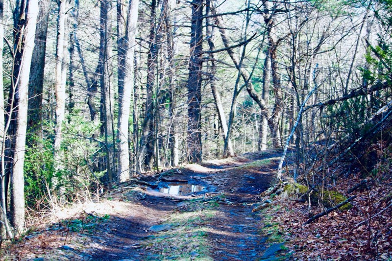 German River Road Trail Review Photo