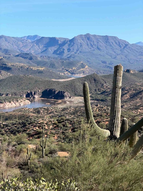 Telegraph Line Trail Trail Review Photo