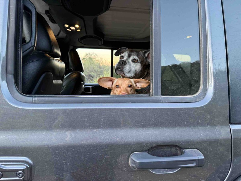 Telegraph Line Trail Trail Review Photo