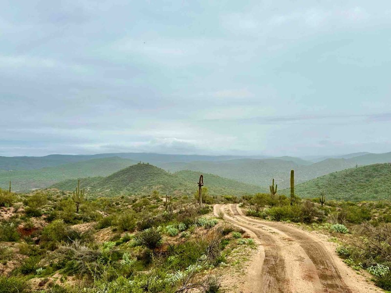 Telegraph Line Trail Trail Review Photo