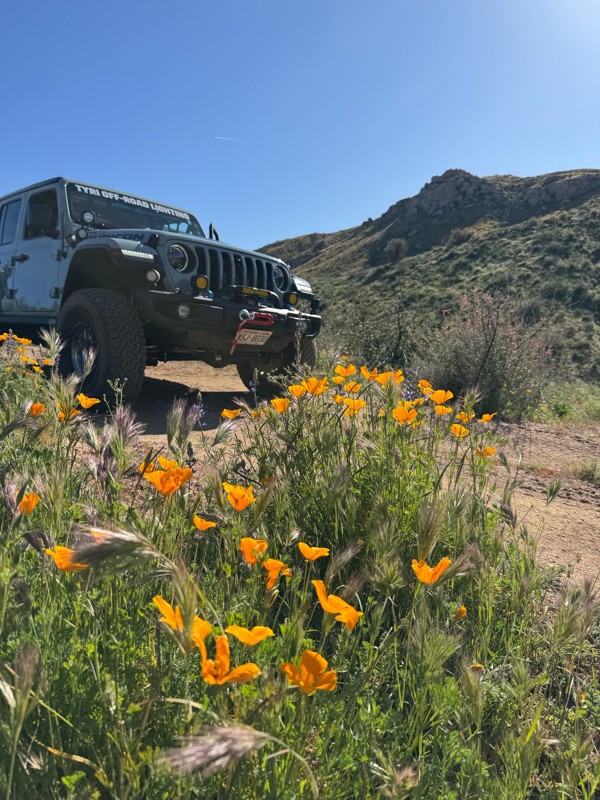 Telegraph Line Trail Trail Review Photo