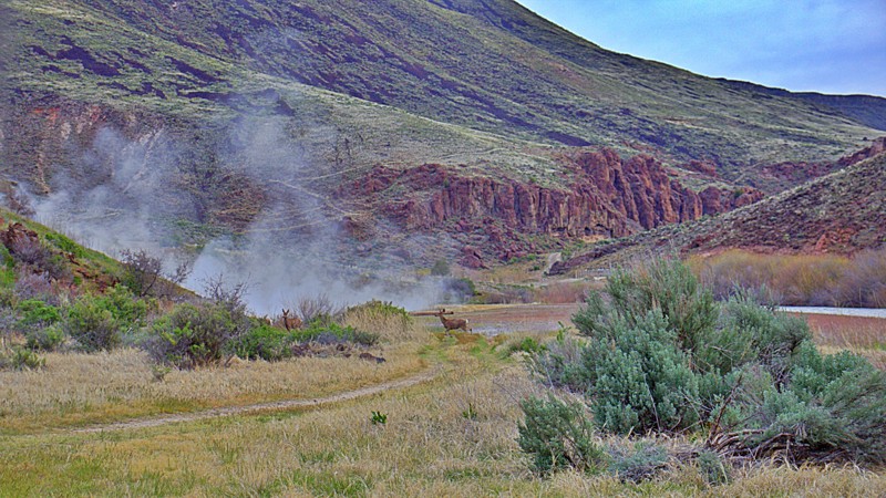 Indian Hot Springs Trail Review Photo