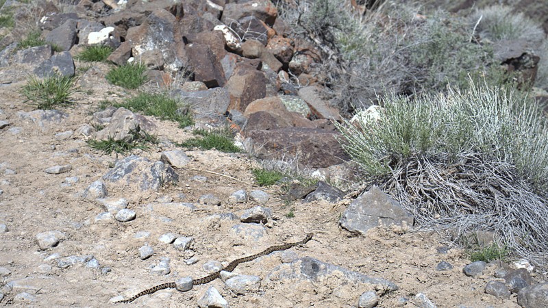 Indian Hot Springs Trail Review Photo