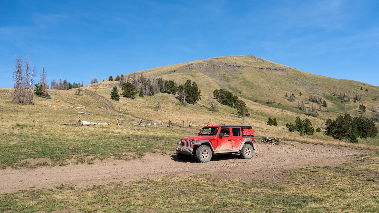 East Fork Pinos Road - Best Trails