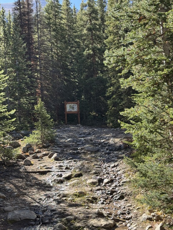 South Halfmoon aka Iron Mike Mine Trail Review Photo
