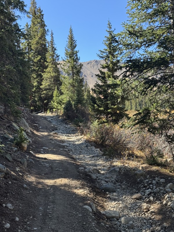 South Halfmoon aka Iron Mike Mine Trail Review Photo