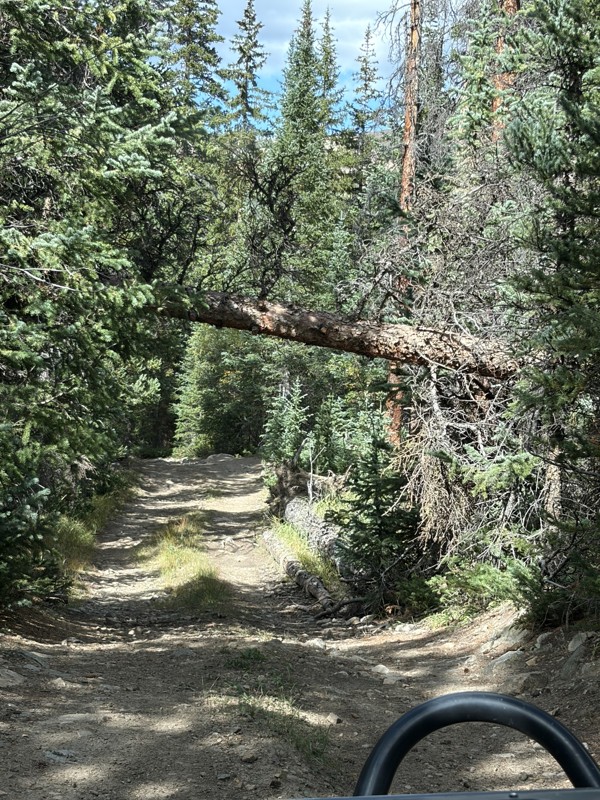 South Halfmoon aka Iron Mike Mine Trail Review Photo
