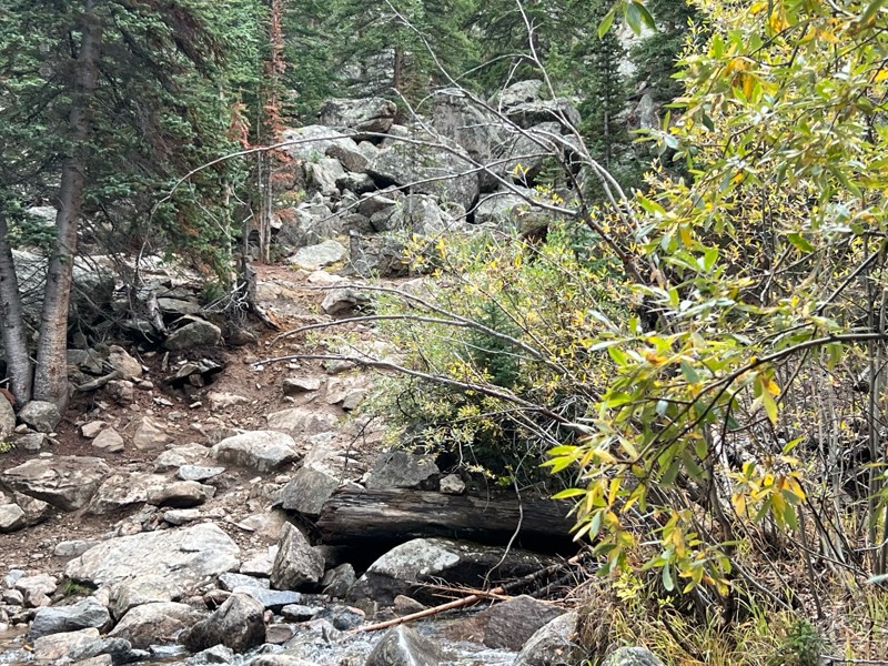 South Halfmoon aka Iron Mike Mine Trail Review Photo