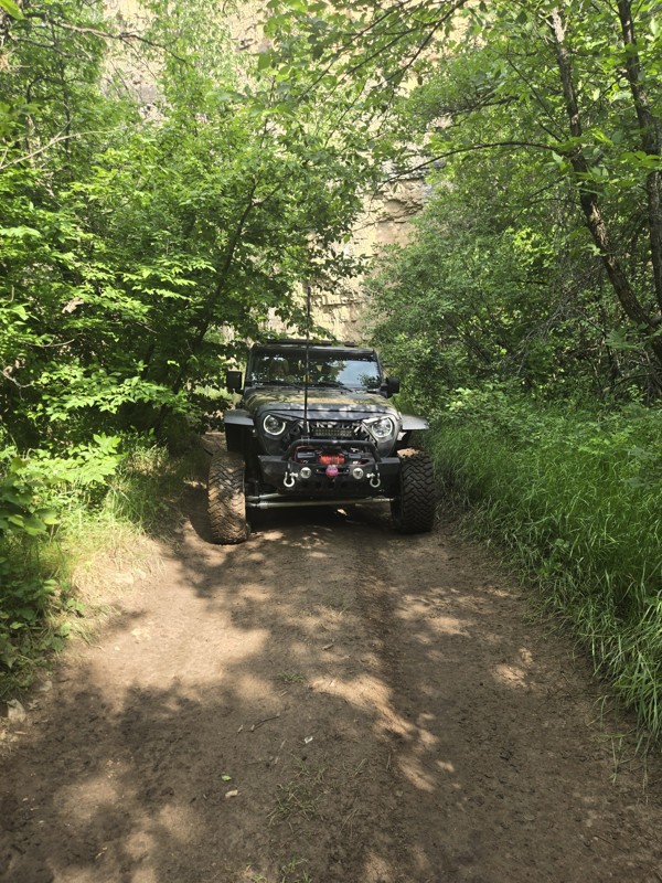 Camp 5 Trail Review Photo