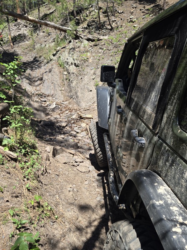 Got Milk Trail Review Photo