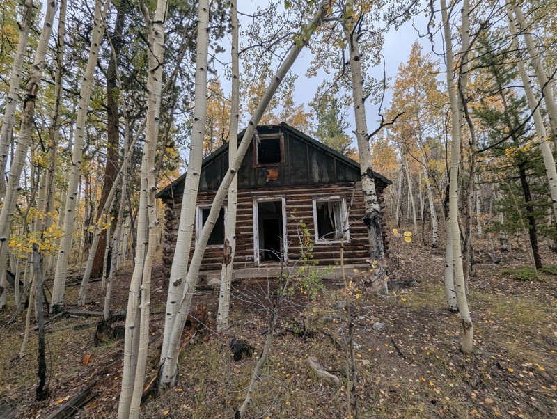 High Park Trail Review Photo