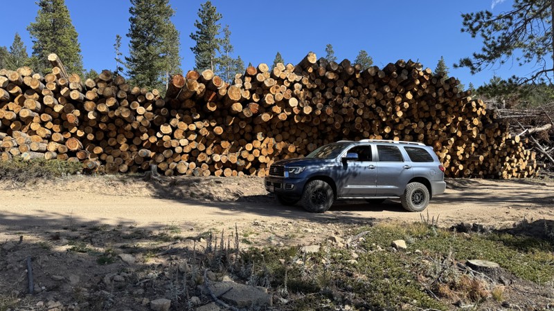 Pierson Park Trail Review Photo